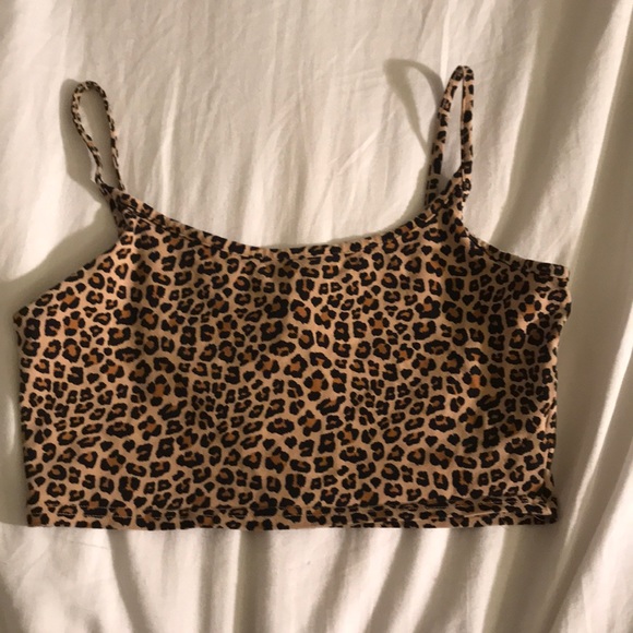 Cheetah - Picture 2 of 4